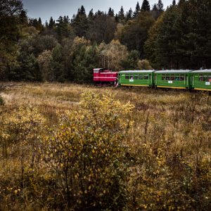 Retro Train Journey Trough Bieszczady Mountains in Poland. Autum Season. Moody and Toned Image.